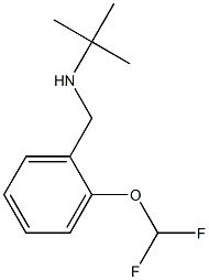 tert-butyl({[2-(difluoromethoxy)phenyl]methyl})amine Structure