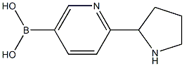 2-Pyrrolidinepyridine-5-boronic acid