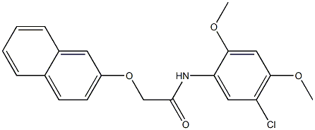 N-(5-chloro-2,4-dimethoxyphenyl)-2-(2-naphthyloxy)acetamide Struktur