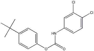 4-tert-butylphenyl 3,4-dichlorophenylcarbamate Structure