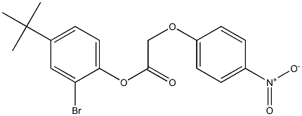 2-bromo-4-(tert-butyl)phenyl 2-(4-nitrophenoxy)acetate,,结构式