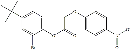 2-bromo-4-(tert-butyl)phenyl 2-(4-nitrophenoxy)acetate Structure