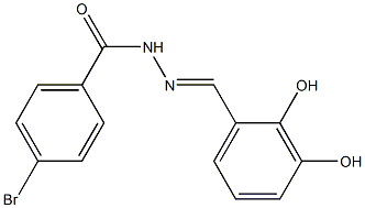 4-bromo-N'-[(E)-(2,3-dihydroxyphenyl)methylidene]benzohydrazide,,结构式