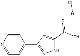 3-pyridin-4-yl-1H-pyrazole-5-carboxylic acid hydrochloride Structure