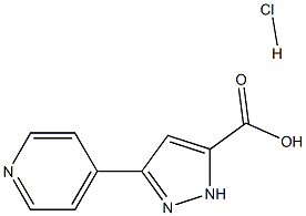 3-pyridin-4-yl-1H-pyrazole-5-carboxylic acid hydrochloride 化学構造式