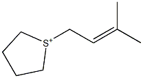 1-(3-Methyl-2-butenyl)tetrahydrothiophene-1-ium