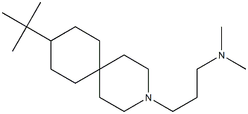 9-tert-Butyl-3-(3-dimethylaminopropyl)-3-azaspiro[5.5]undecane Struktur