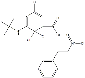 N-tert-Butyl-2-nitro-1-phenylethanamineN-oxide Struktur