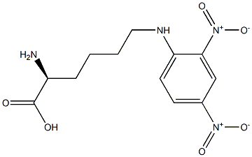 Nε-(2,4-ジニトロフェニル)-L-リシン 化学構造式