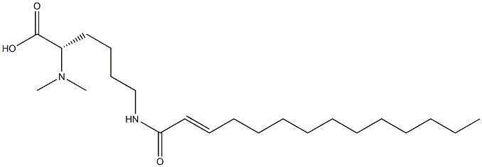 N6-(2-テトラデセノイル)-N2,N2-ジメチルリシン 化学構造式