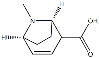 (1R,5S)-8-Methyl-8-azabicyclo[3.2.1]oct-3-ene-2-carboxylic acid Struktur