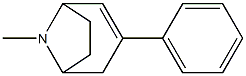 8-Methyl-3-phenyl-8-azabicyclo[3.2.1]oct-2-ene,,结构式