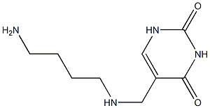 5-(4-Aminobutylaminomethyl)uracil Structure