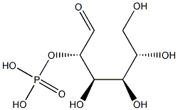 L-Galactose phosphate|