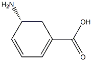 (R)-5-Amino-1,3-cyclohexadiene-1-carboxylic acid Struktur