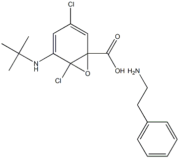 2-Amino-N-tert-butyl-1-phenylethanamineN-oxide