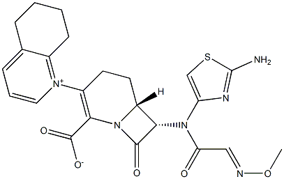 (6R,7S)-7-[(2-アミノチアゾール-4-イル)(メトキシイミノ)アセチルアミノ]-8-オキソ-3-[(5,6,7,8-テトラヒドロキノリニウム)-1-イル]-1-アザビシクロ[4.2.0]オクタ-2-エン-2-カルボキシラート 化学構造式