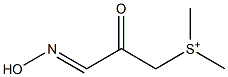 Dimethyl(3-hydroxyimino-2-oxopropyl)sulfonium Structure