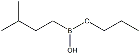 Isopentylboronic acid propyl ester Structure