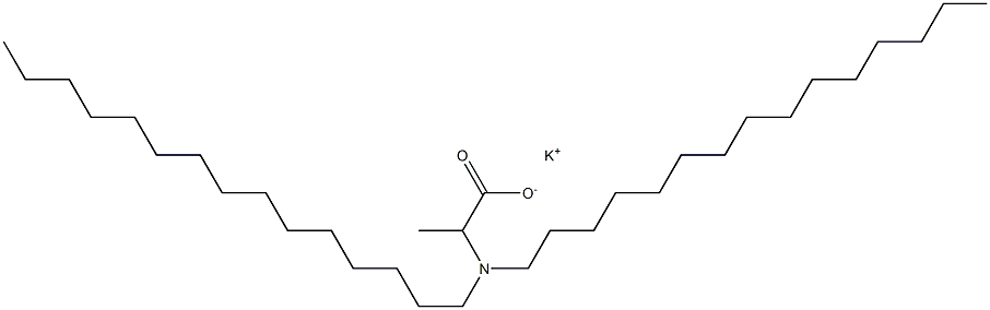2-(ジペンタデシルアミノ)プロパン酸カリウム 化学構造式