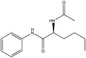 [S,(-)]-2-(Acetylamino)-N-phenylhexanamide Structure