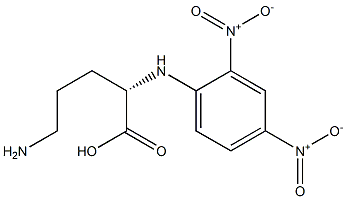 N2-(2,4-ジニトロフェニル)-L-オルニチン 化学構造式