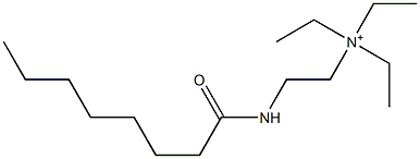 N,N,N-Triethyl-2-(octanoylamino)ethanaminium Struktur