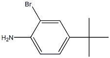 2-bromo-4-tert-butylbenzenamine,,结构式