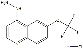 4-Hydrazino-6-trifluoromethoxyquinoline Hydrochloride Structure