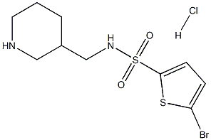 5-Bromo-thiophene-2-sulfonic acid (piperidin-3-ylmethyl)-amide hydrochloride