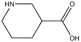 3-piperidinic acid Structure