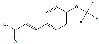  4-三氟甲氧基肉桂酸