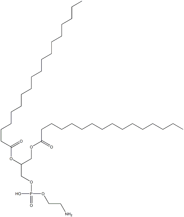 2-aminoethoxy-(3-hexadecanoyloxy-2-octadecanoyloxy-propoxy)phosphinic acid Struktur