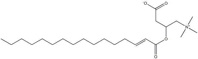 trans-Hexadec-2-enoyl carnitine