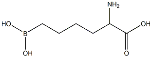  2-amino-6-boronohexanoic acid