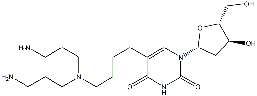 5-(4-(N,N-bis(3-aminopropyl)amino)butyl)-2'-deoxyuridine,,结构式