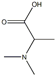 N,N-Dimethyl-DL-Alanine