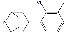3-(2-chloro-3-methylphenyl)-8-azabicyclo[3.2.1]octane Struktur