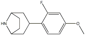 3-(2-fluoro-4-methoxyphenyl)-8-azabicyclo[3.2.1]octane