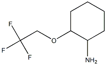 2-(2,2,2-TRIFLUOROETHOXY)CYCLOHEXANAMINE Structure