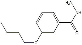 3-BUTOXYBENZOHYDRAZIDE