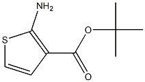 2-AMINO-3-T-BUTOXY CARBONYL THIOPHENE Structure