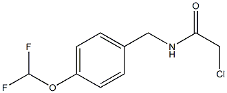 2-CHLORO-N-[4-(DIFLUOROMETHOXY)BENZYL]ACETAMIDE 结构式