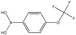 4-(TRIFLUOROMETHOXYL)PHENYLBORONIC ACID,,结构式