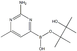 2-AMINO-6-METHYLPYRIMIDINE-4-BORONIC ACID PINACOL ESTER 结构式