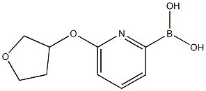 6-(TETRAHYDRO-FURAN-3-YLOXY)PYRIDINE-2-BORONIC ACID,,结构式