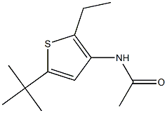 N1-[5-(tert-butyl)-2-ethyl-3-thienyl]acetamide 化学構造式