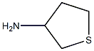 tetrahydrothiophen-3-amine,,结构式