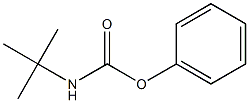 phenyl N-(tert-butyl)carbamate Struktur
