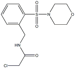 2-chloro-N-[2-(morpholin-4-ylsulfonyl)benzyl]acetamide 化学構造式